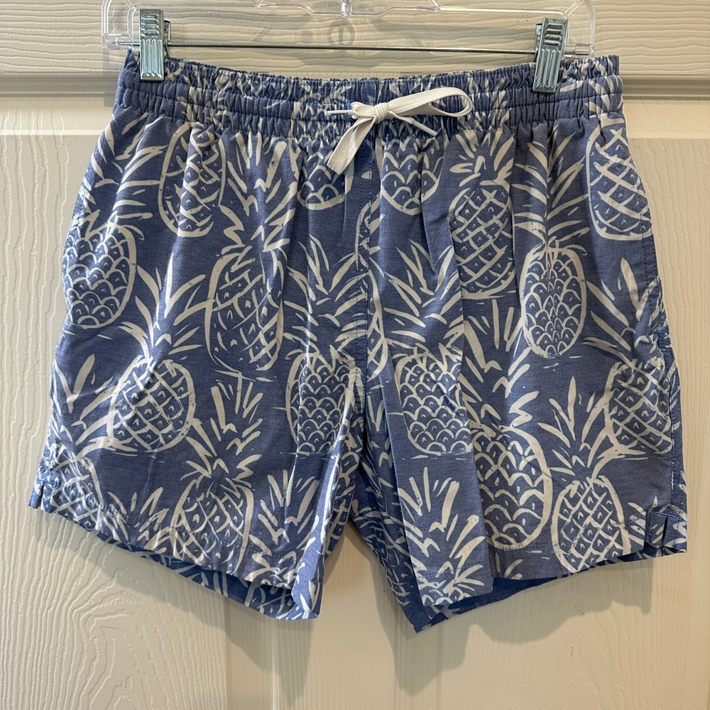 Blue Pineapple Chubbies swim trunks
